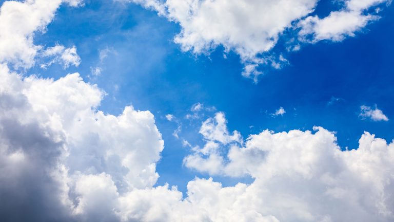 SME Climate Hub & UN Global Compact: